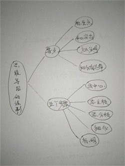 【活动1】使用思维导图记录和整理知识