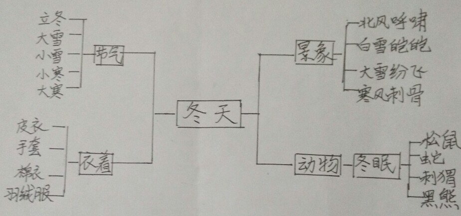 活动2:使用思维导图进行发散思维训练