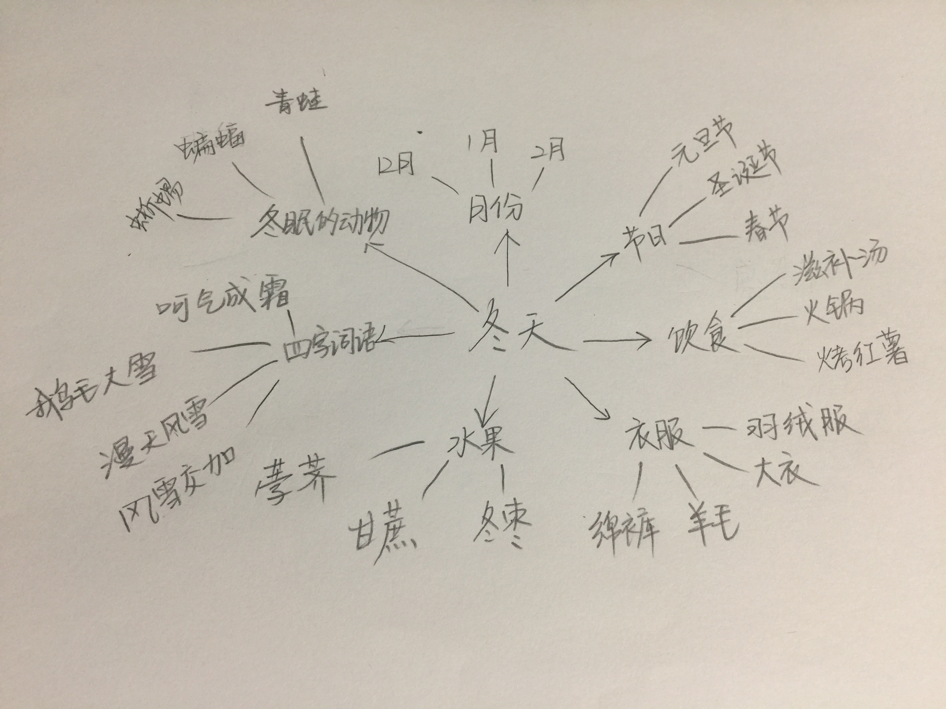 活动2:使用思维导图进行发散思维训练