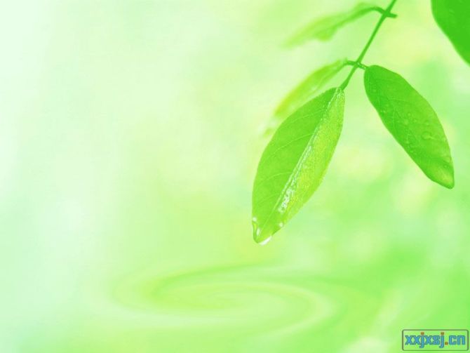 精美的ppt课件背景