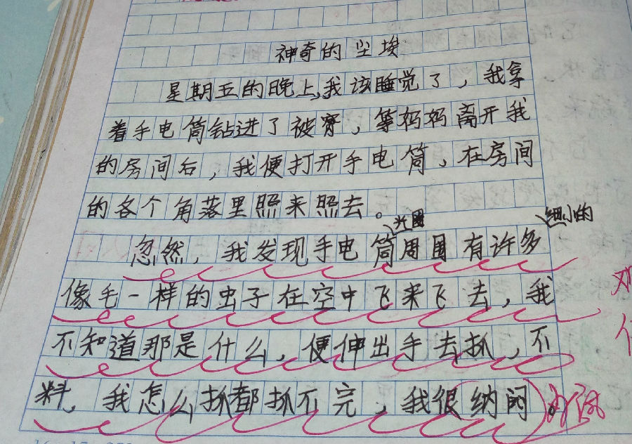 我要抄周记,一篇,语文周记_大山谷图库