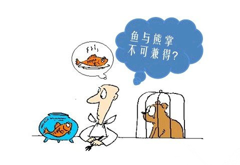 【活动】鱼"和"熊掌"能否兼得?