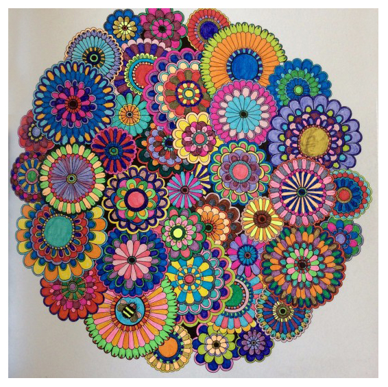 请每一位美术老师来参加我们的《秘密花园》之旅!