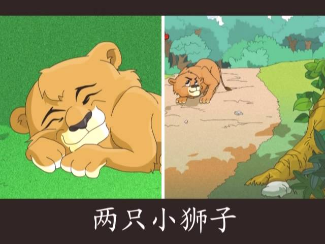 作业:两只小狮子