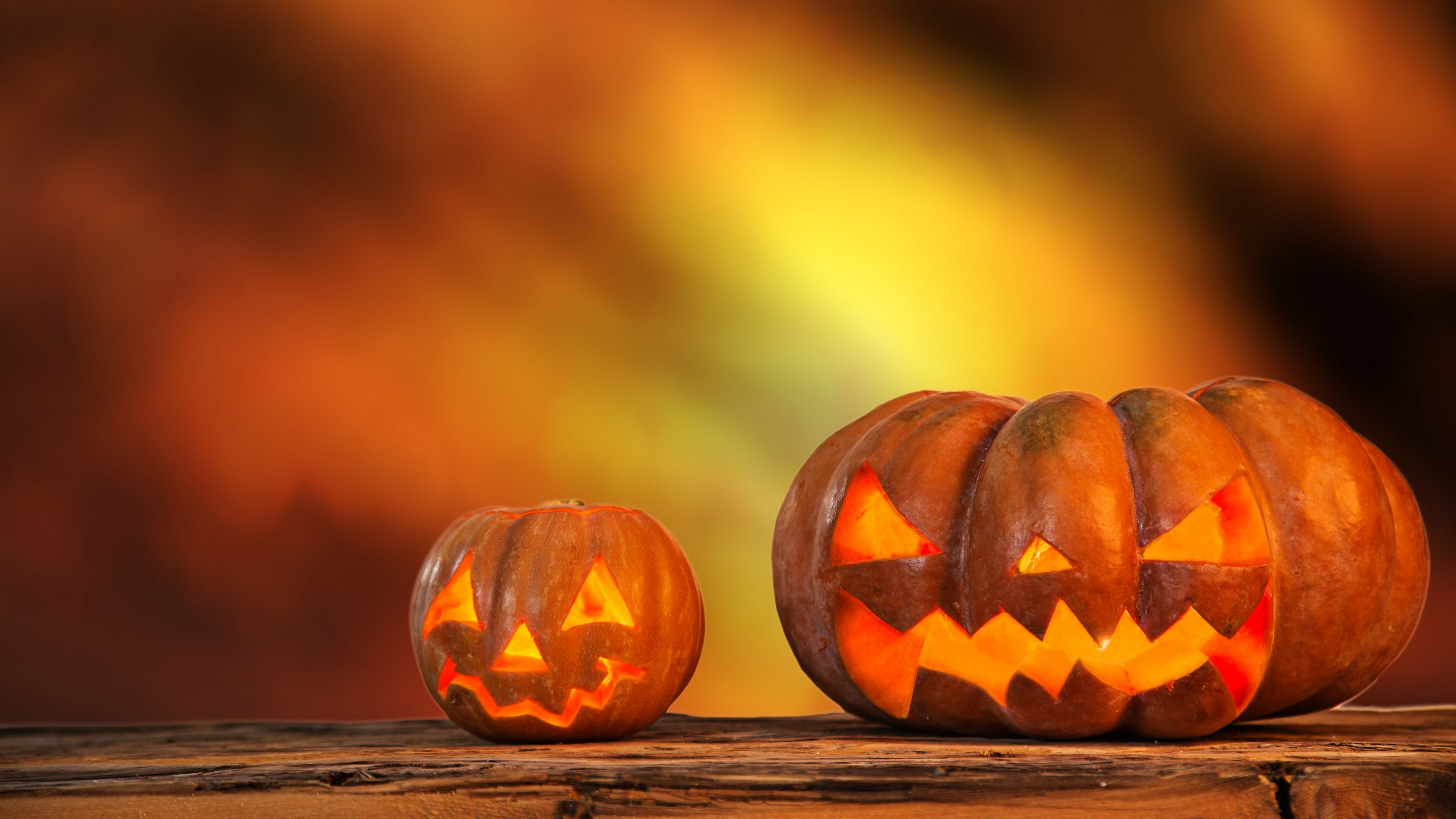 第一阶段培训简报